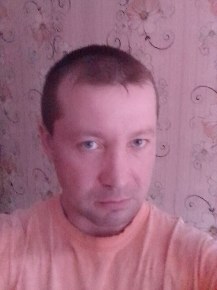  43885831  , 41 ,    