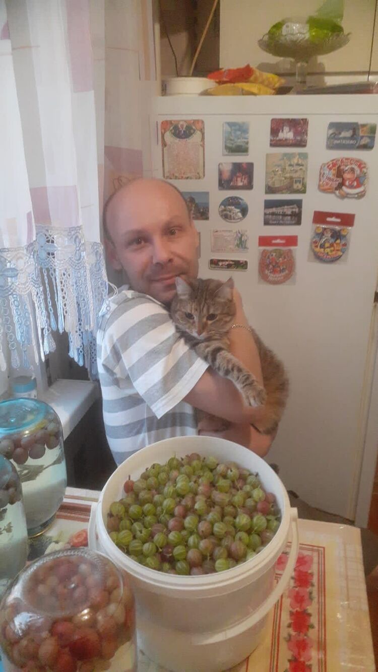 ���������� �����������, ���� ������� ������, 31 ���, ������������ ��� ������, ����� � ���������, c�������� ���������