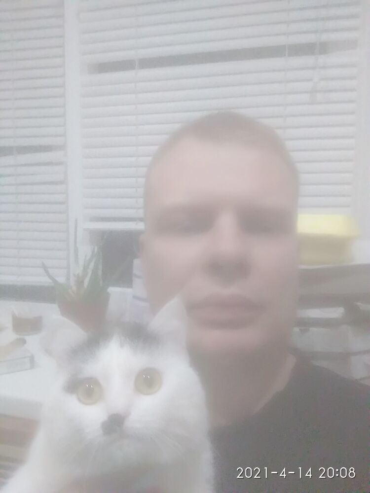 ���������� ��������������, ���� ������� ��������, 36 ���, ������������ ��� ������, ����� � ���������, c�������� ���������