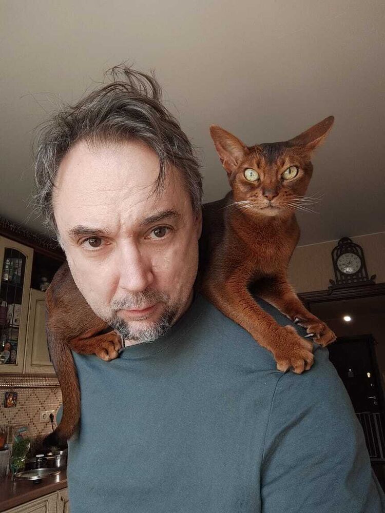 ���� 54868181 ������� ������, 30 ���, ���� ���������� � ������