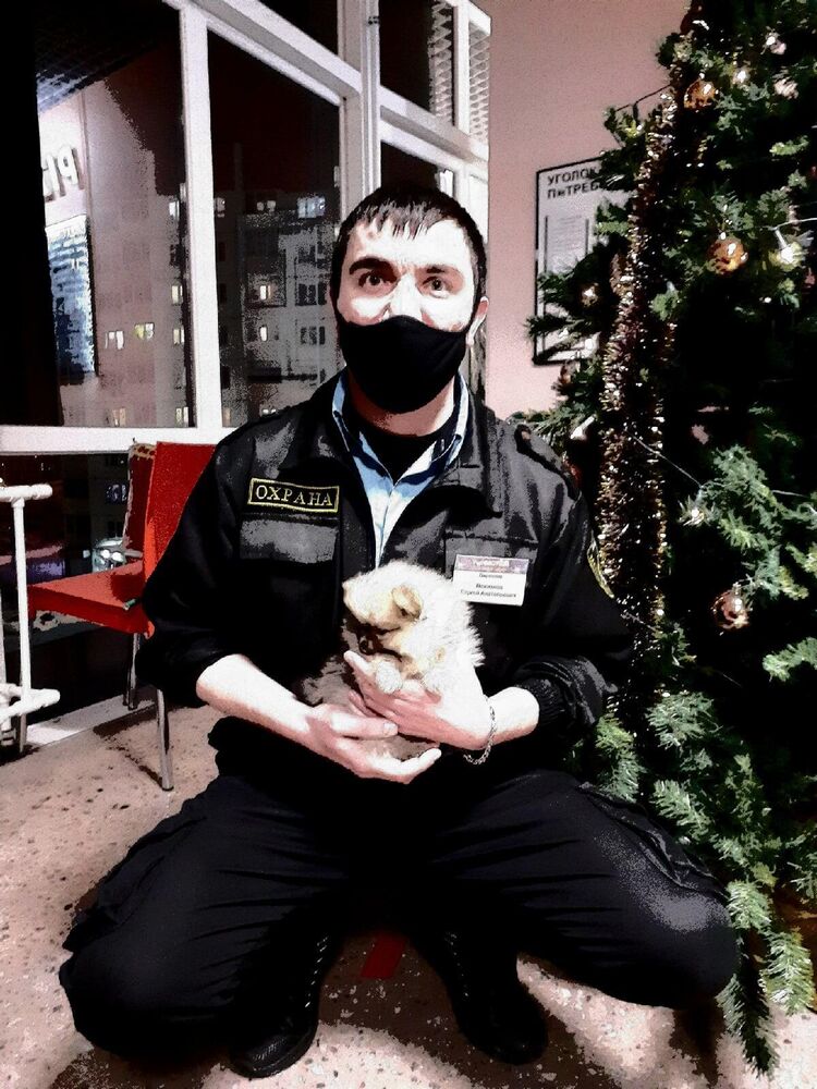 ���������� �������, ���� ������� ����� ������, 36 ���, ������������ ��� ������, ����� � ���������, c�������� ���������, ���������