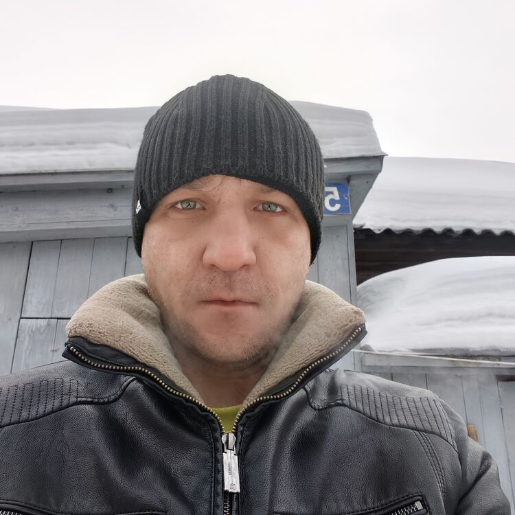 ���� 55101281 ������� �������, 36 ���, ���� ���������� � ������