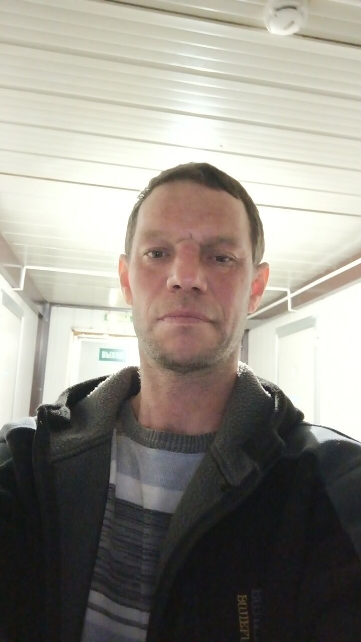  51329491  , 44 ,    