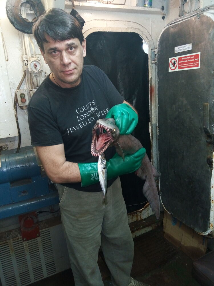  ,   , 58 ,   , 