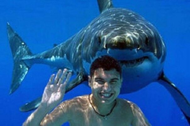 ���� 15437551 ������� ����, 52 ����, ���� ���������� � ������