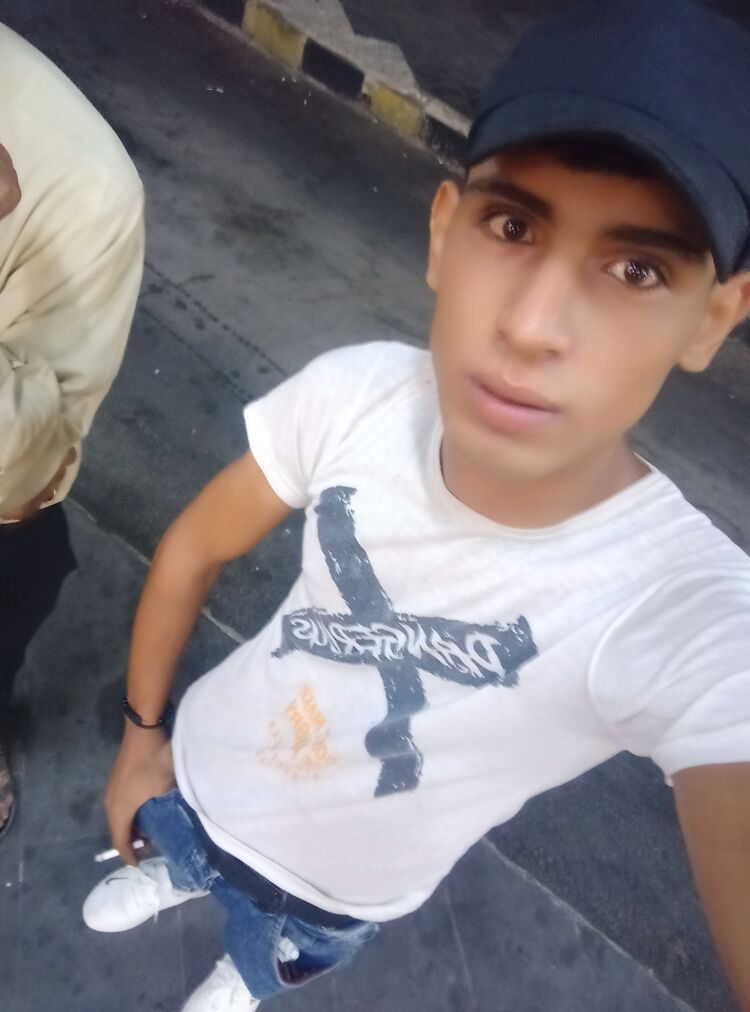  43805111  Yamn, 20 ,    