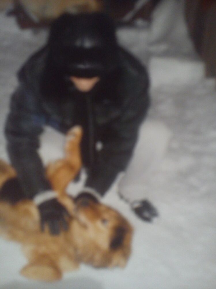 ���������� ������, ���� ������� ������, 44 ����, ������������ ��� ������, ����� � ���������, c�������� ���������