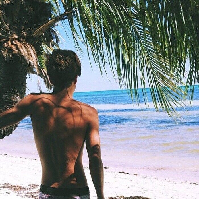 ���������� ���������, ���� ������� ���, 36 ���, ������������ ��� ������, ����� � ���������, c�������� ���������