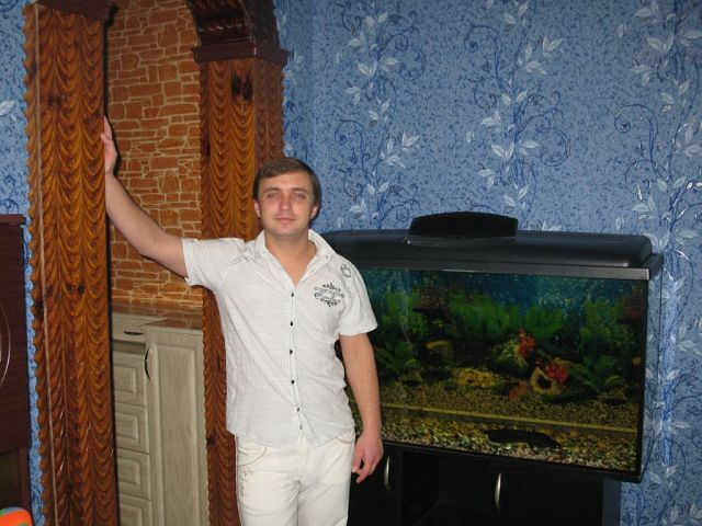  53658661  , 44 ,    --