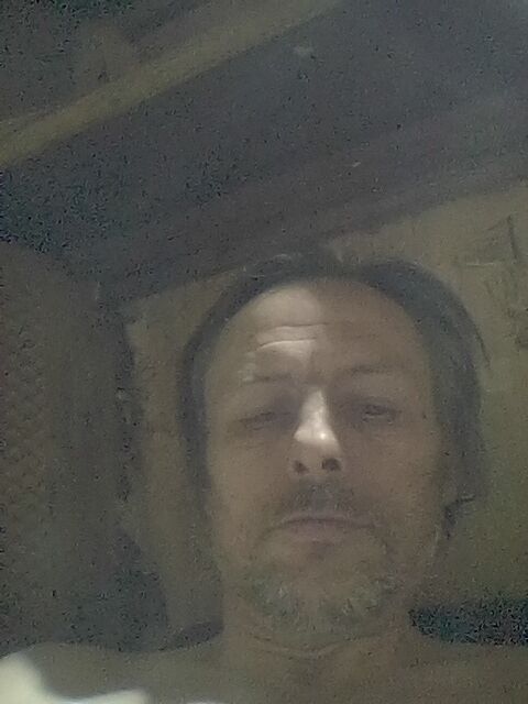  31401441  , 54 ,    