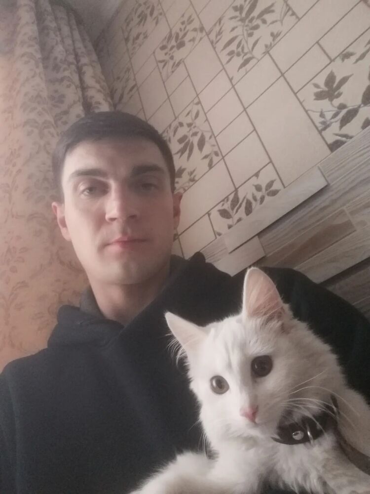 ���� 38638131 ������� �������, 33 ����, ���� ���������� � �����