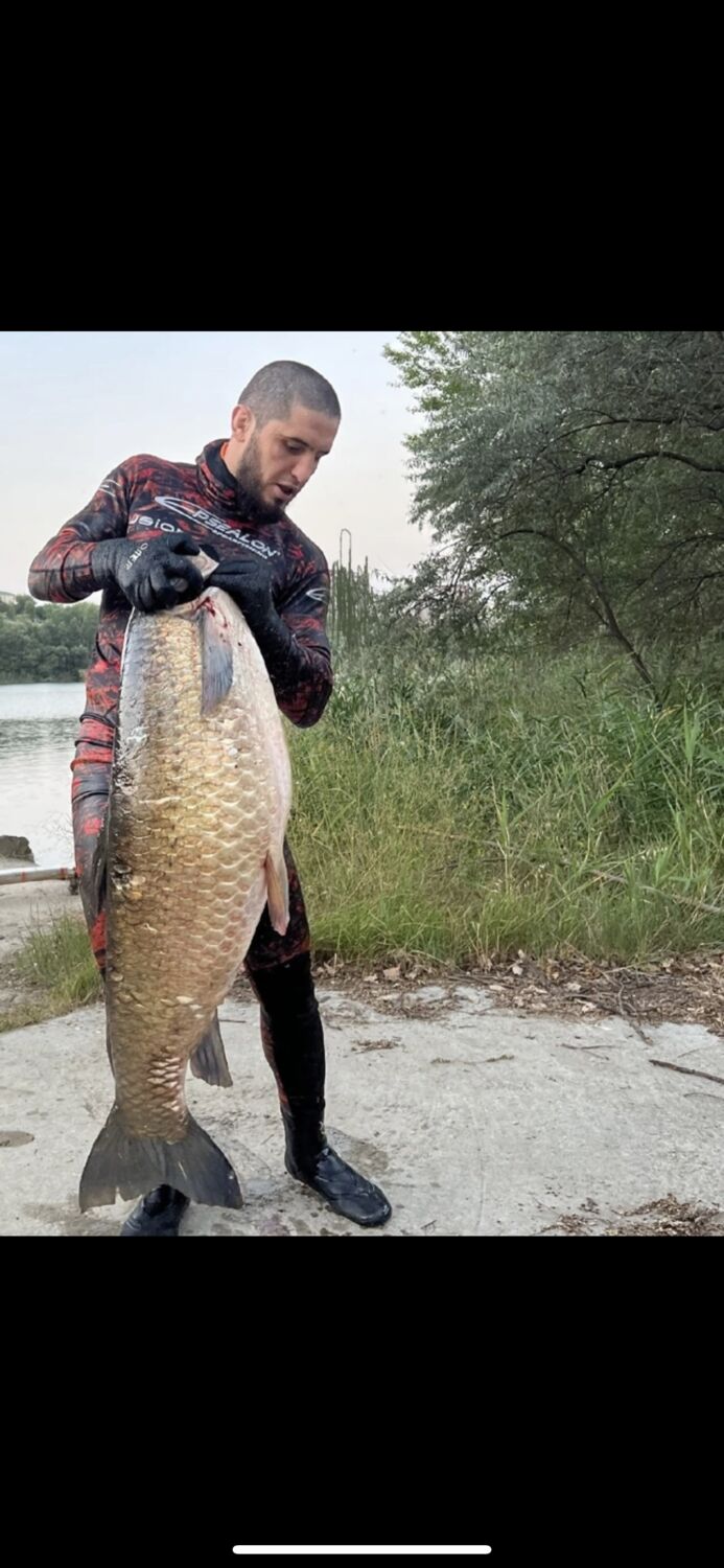 ���� 29681671 ������� ������, 37 ���, ���� ���������� � ����������