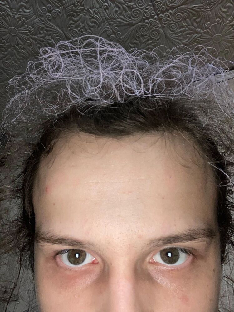 ���������� ������, ���� ����� �����, 22 ����, ������������ ��� ���������