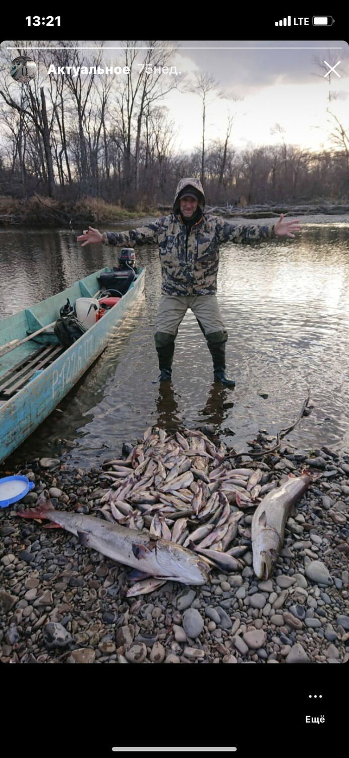 ���� 23871311 ������� �������, 48 ���, ���� ���������� � ������������