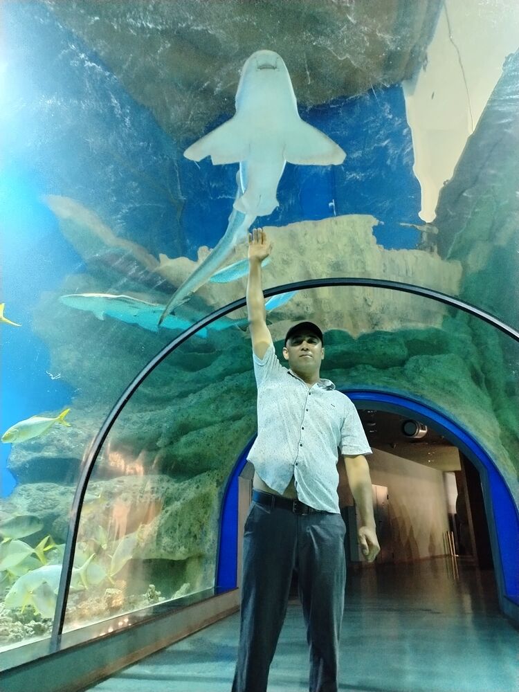 ���������� ������, ���� ������� ������, 38 ���, ������������ ��� ������, ����� � ���������