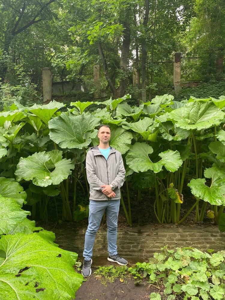 ���� 52939241 ������� Lovel, 35 ���, ���� ���������� � ������