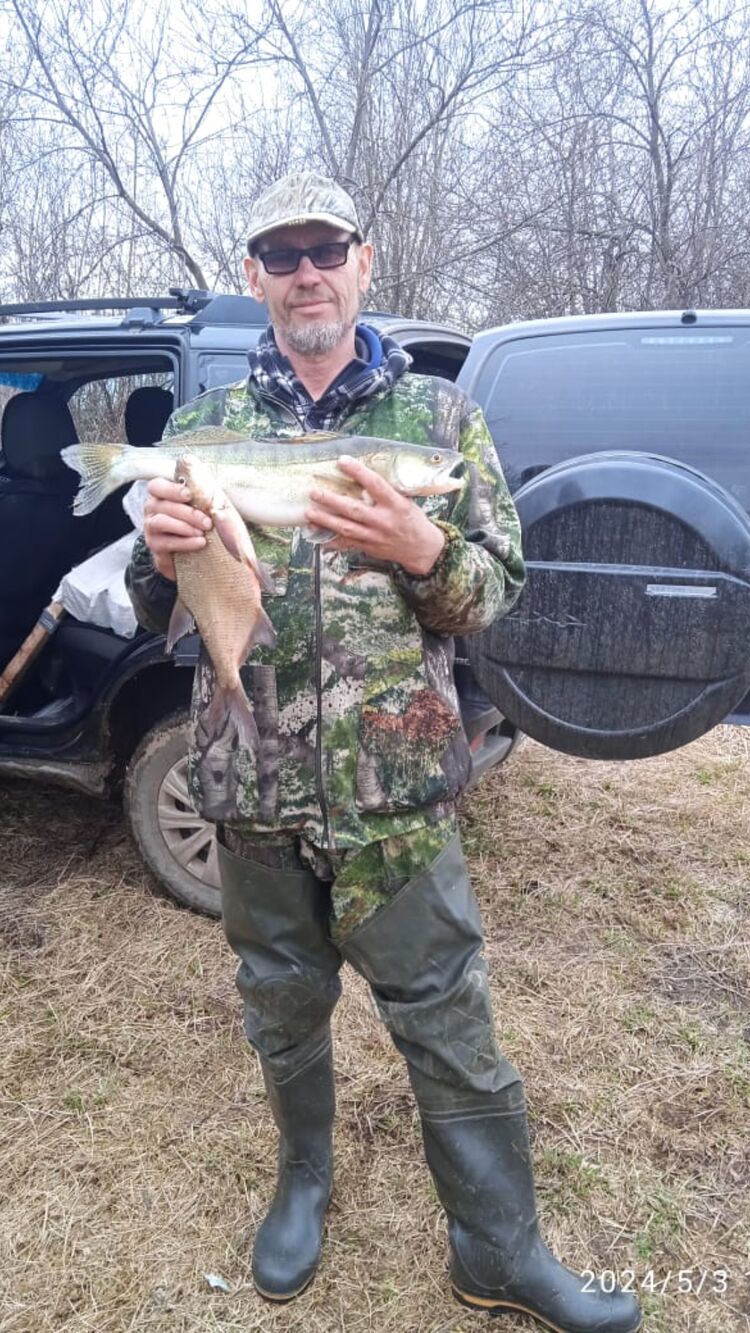 ���� 55798091 ������� �����, 56 ���, ���� ���������� � ������������