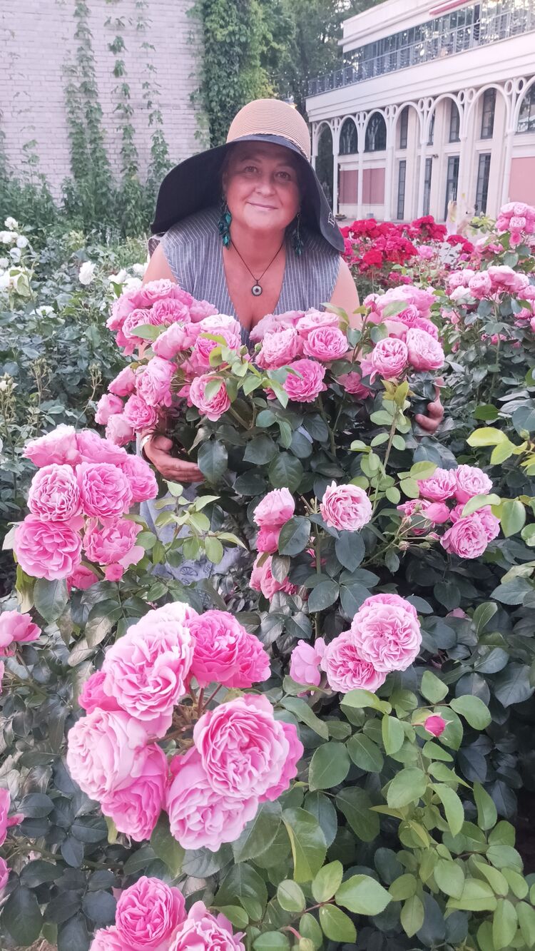  54553311  , 54 ,    -