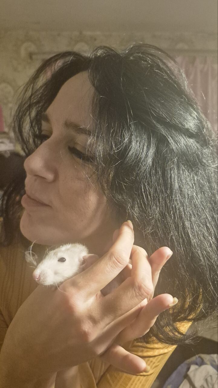 ���� 55422981 ������� ����, 40 ���, ���� ���������� � ���������