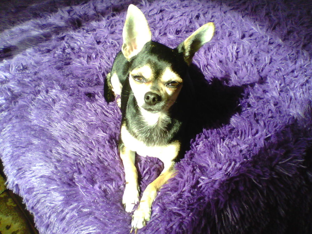  8178841  Valerij, 47 ,    