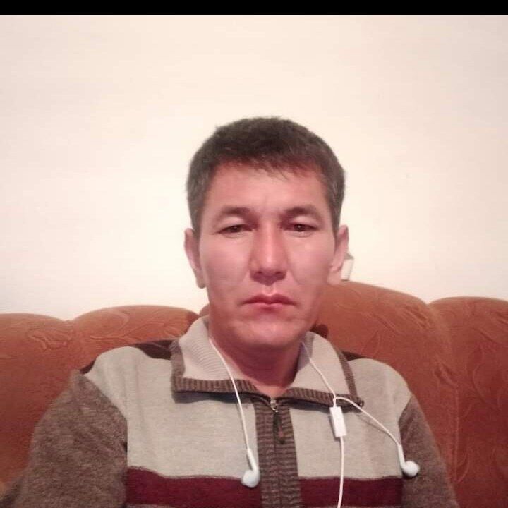  24553311  , 43 ,    