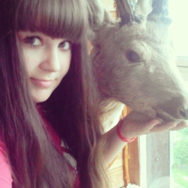 ���������� ����, ���� ������� �����, 29 ���, ������������ ��� ������, ����� � ���������, c�������� ���������