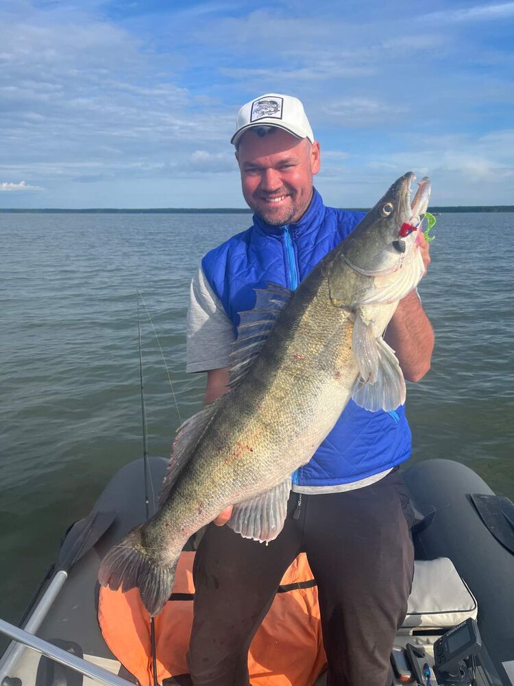 ���� 33823641 ������� �����������, 45 ���, ���� ���������� � �����