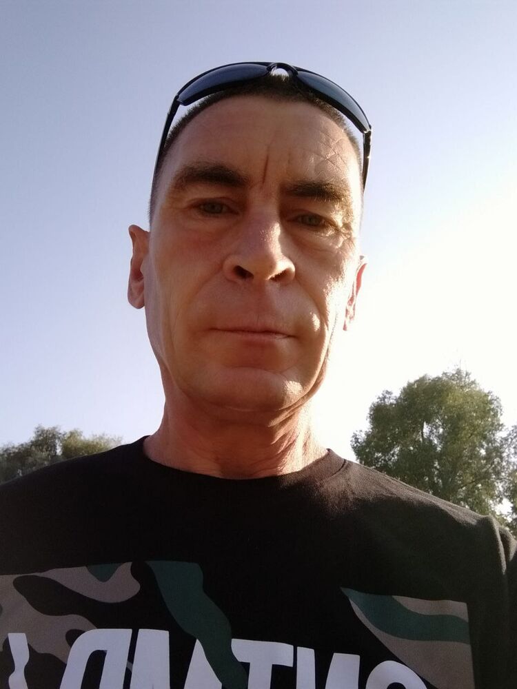  29311981  , 54 ,    