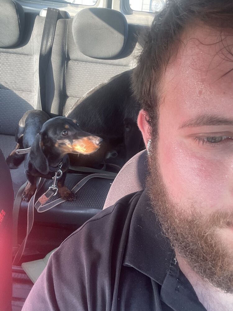 ���������� ������������, ���� ����� ���������, 25 ���, ������������ ��� ������, ����� � ���������, c�������� ���������, ���������