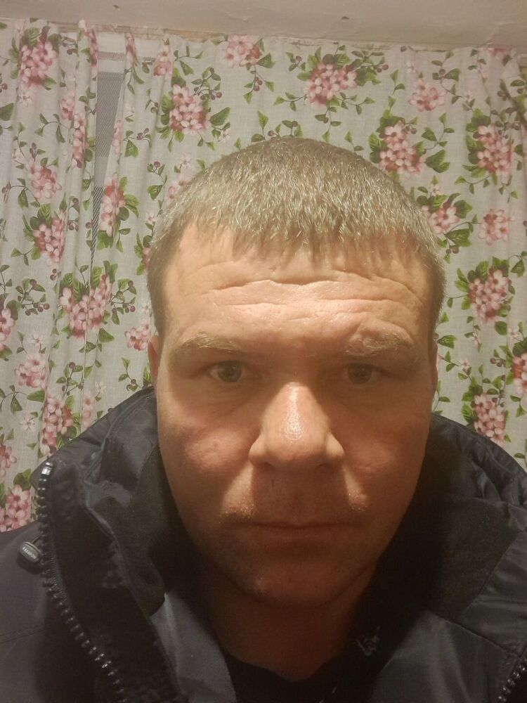  43791561  , 38 ,    