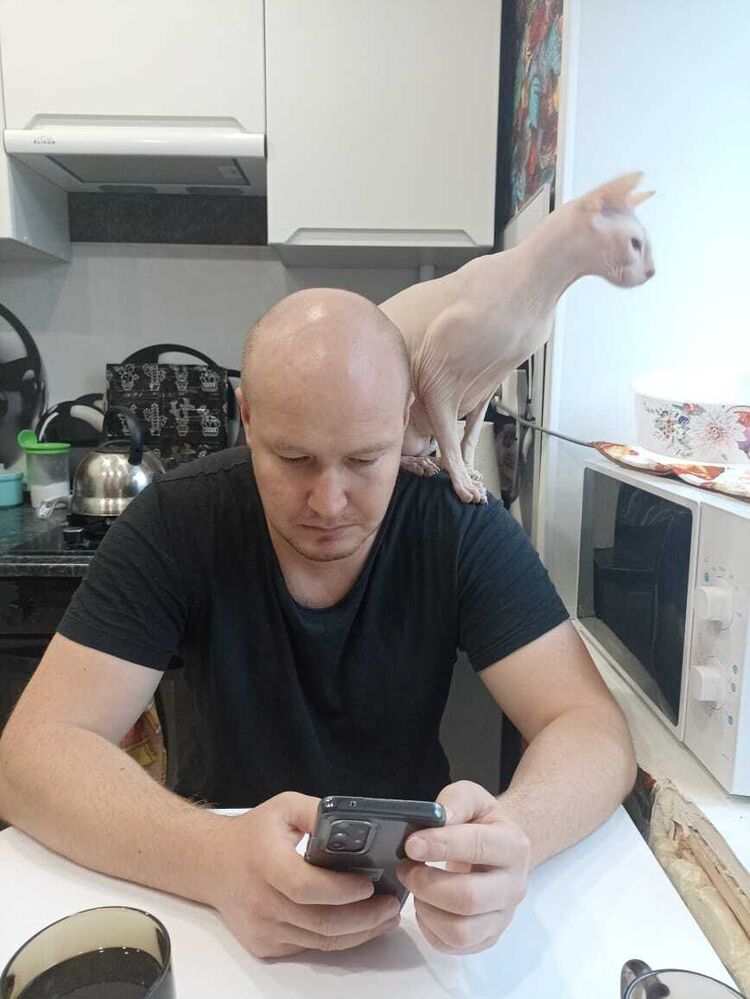  37638611  , 39 ,    -