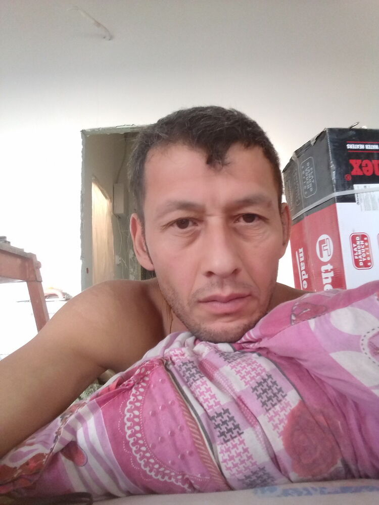  13300991  , 65 ,    