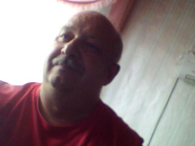  4429431  Volj, 65 ,    -