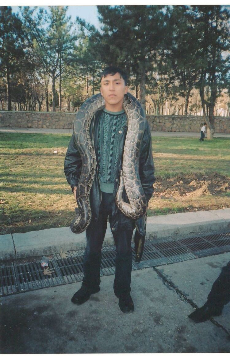 ���������� �������, ���� ������� ������, 37 ���, ������������ ��� ������