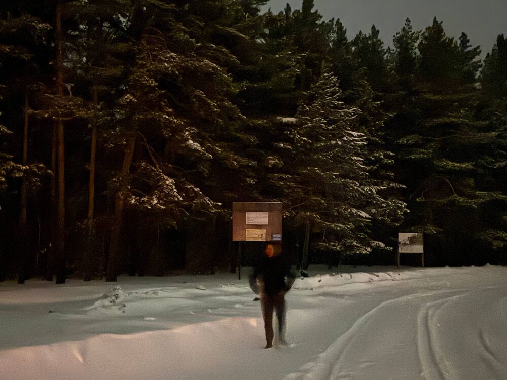 ���� 55987101 ����� ������, 23 ����, ���� ���������� � ��������