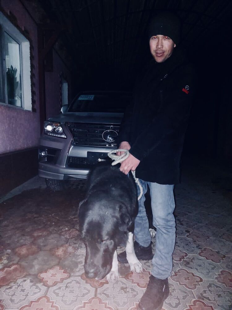 ���� 31287631 ������� ������, 33 ����, ���� ���������� � ������