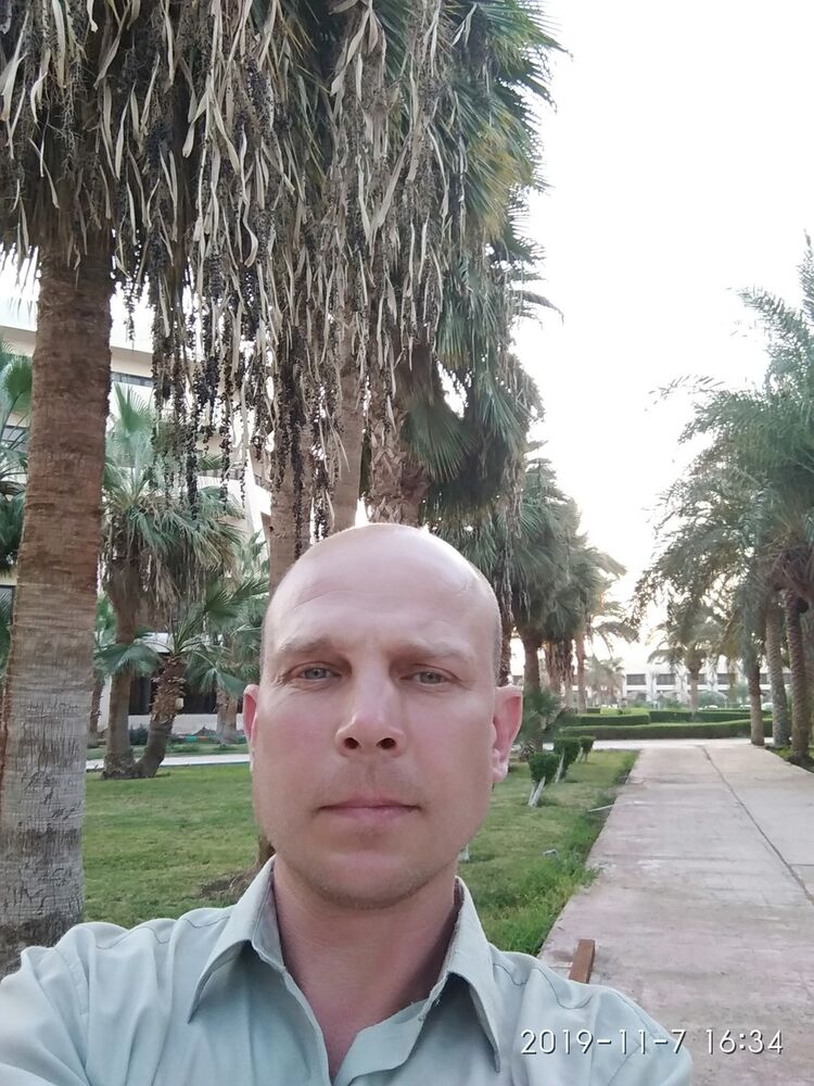 ���� 18288341 ������� �������, 44 ����, ���� ���������� � ������