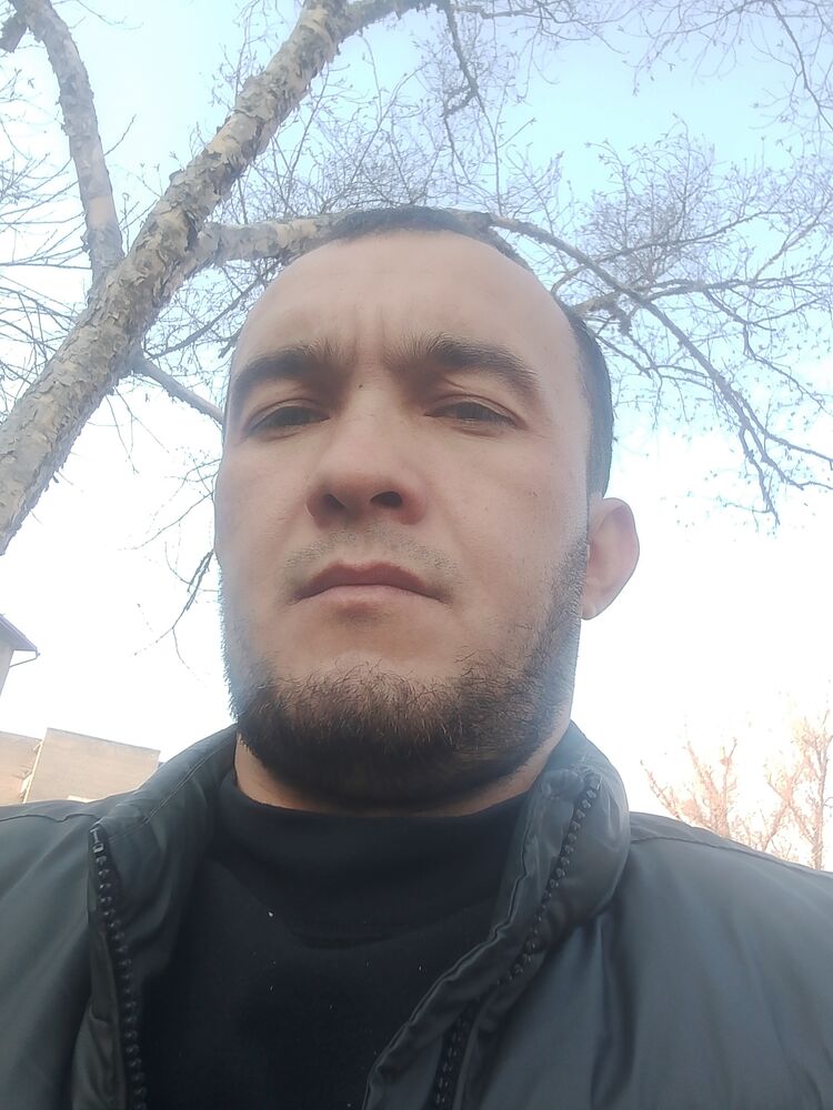 ���� 56247661 ������� ��������, 32 ����, ���� ���������� � ������