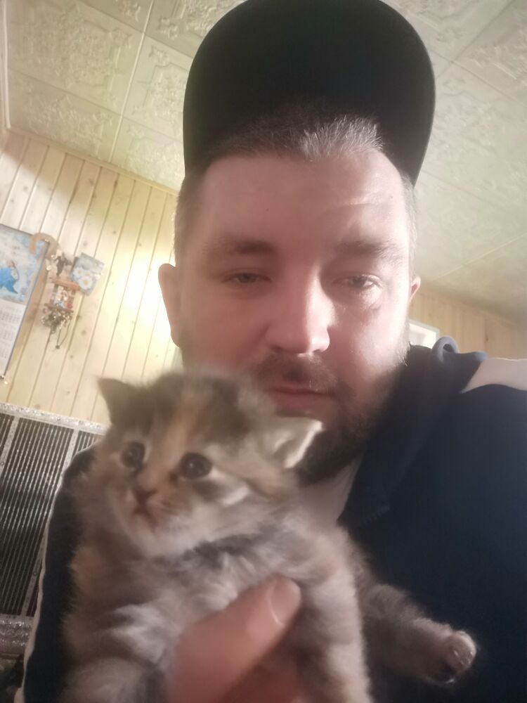 ���������� �������������, ���� ������� �����, 36 ���, ������������ ��� ������, ����� � ���������, c�������� ���������, ���������