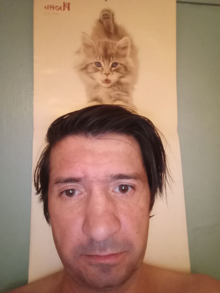 ���� 38645931 ������� �������, 46 ���, ���� ���������� � �����-����������