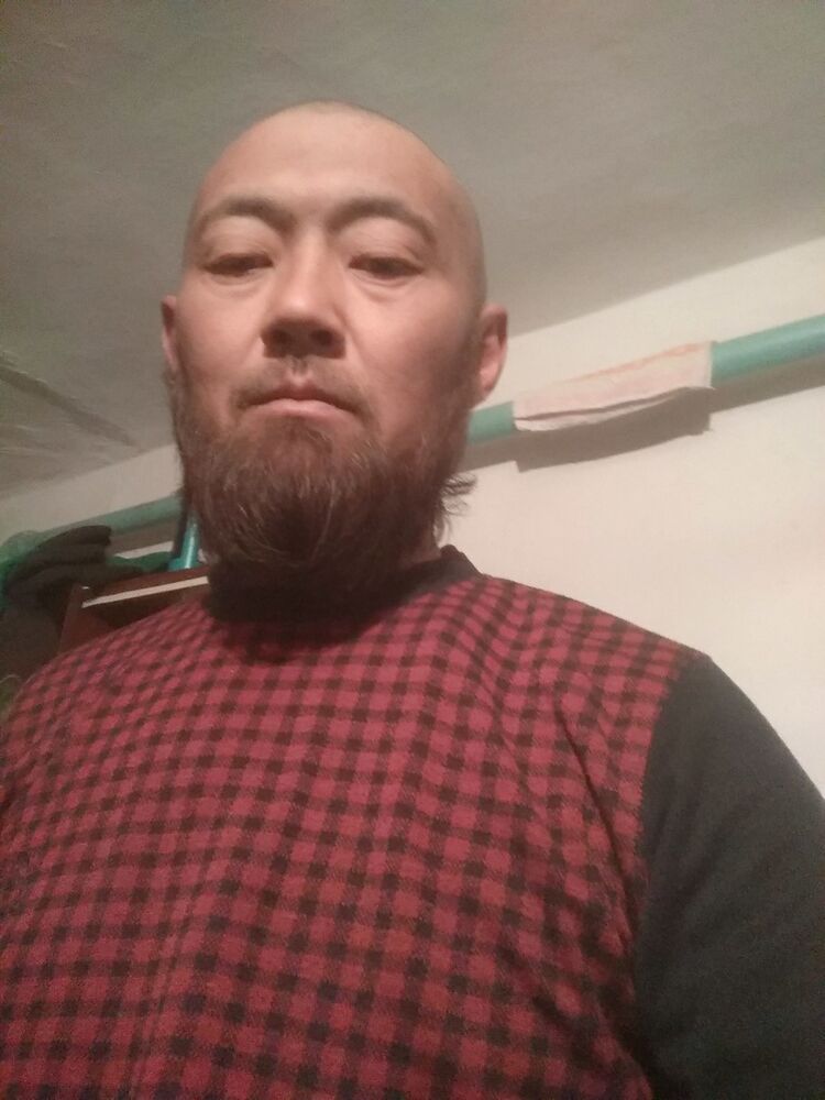  18208201  , 46 ,    