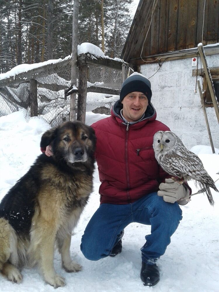 ���������� �������, ���� ������� �����, 37 ���, ������������ ��� ������, ����� � ���������, c�������� ���������, ���������