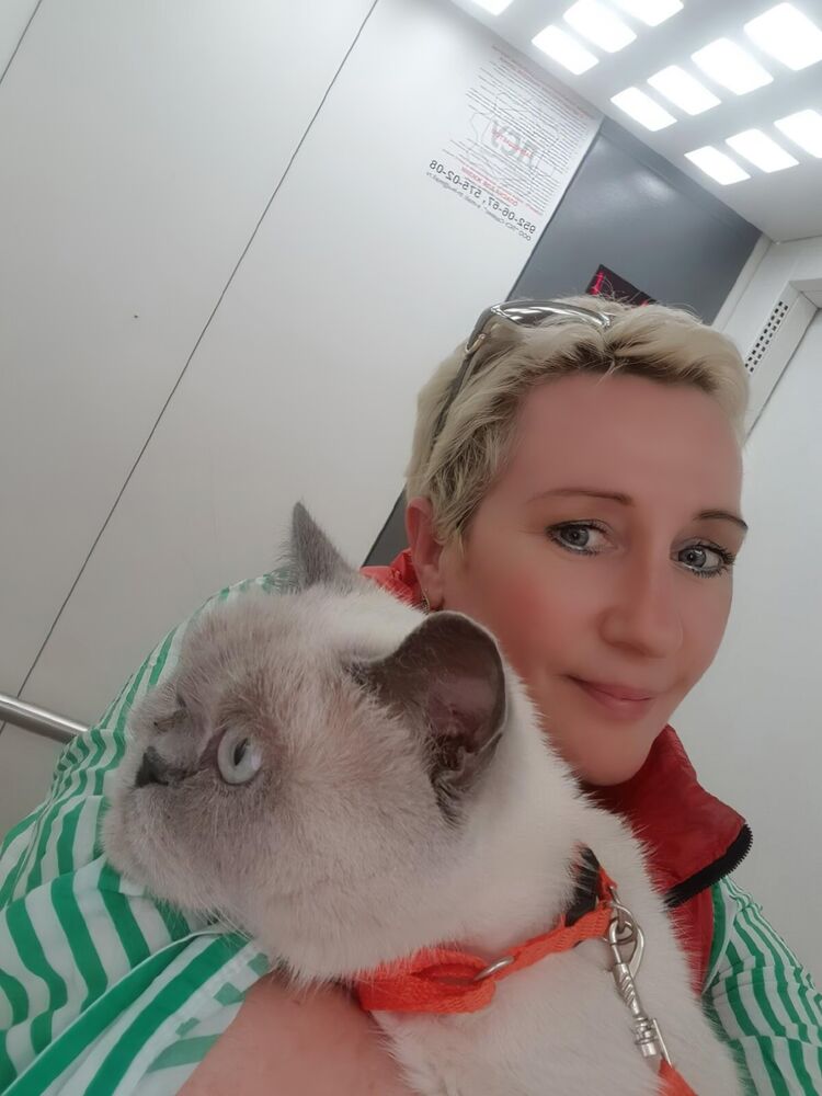  27547001  , 54 ,    -