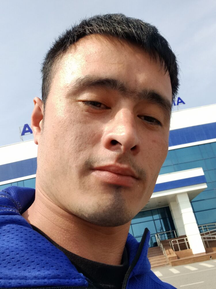  43078131  , 31 ,    -