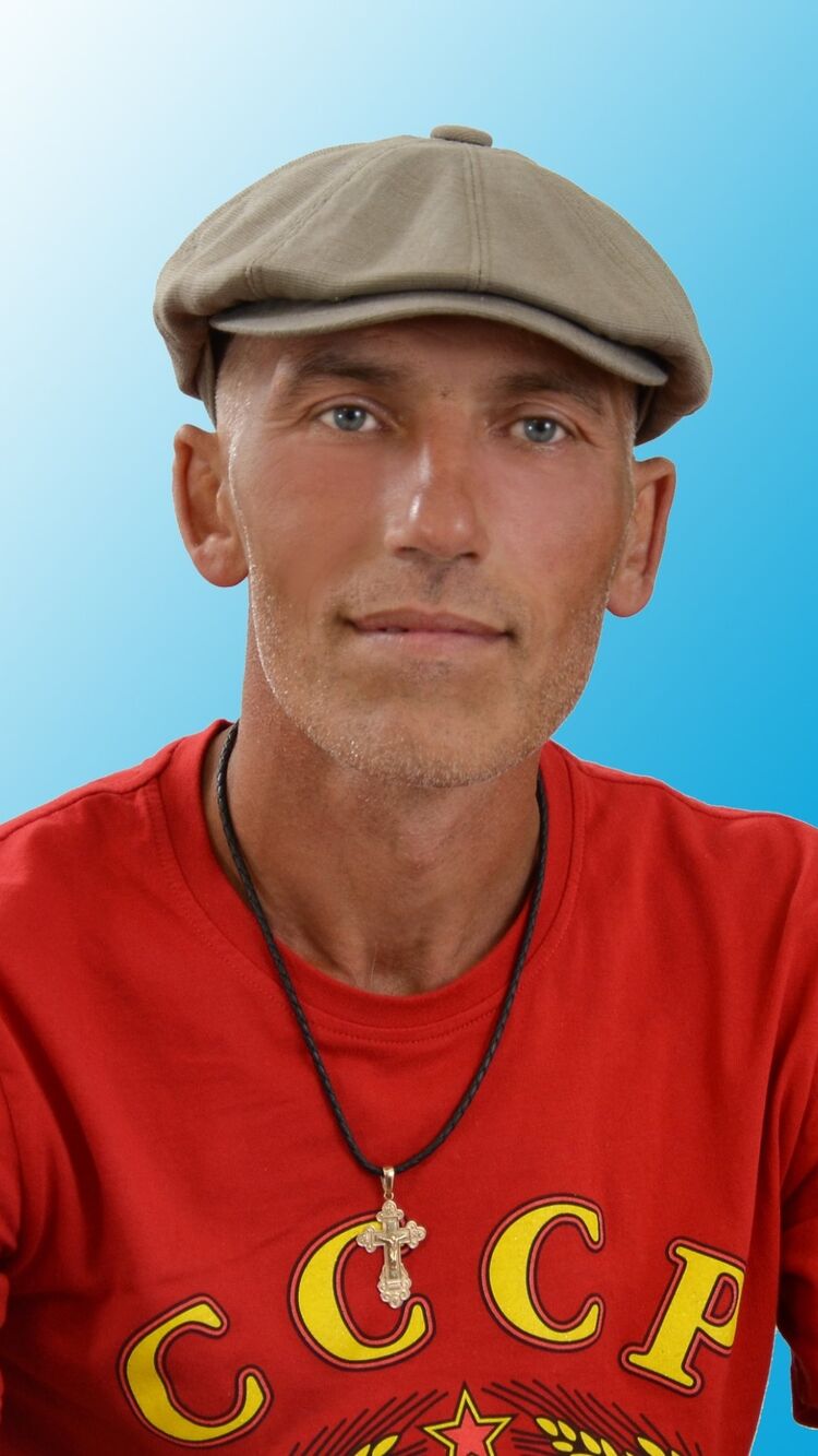  37259981  , 46 ,    -