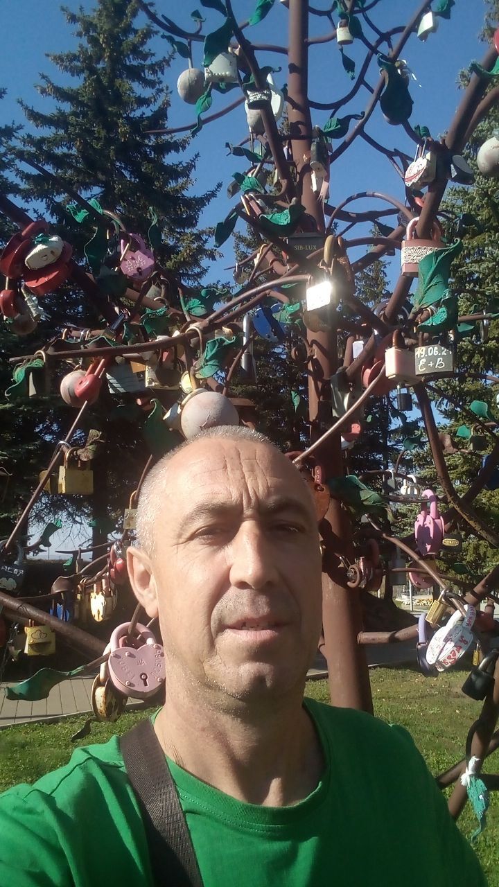 ���� 38026661 ������� ���, 44 ����, ���� ���������� � �������