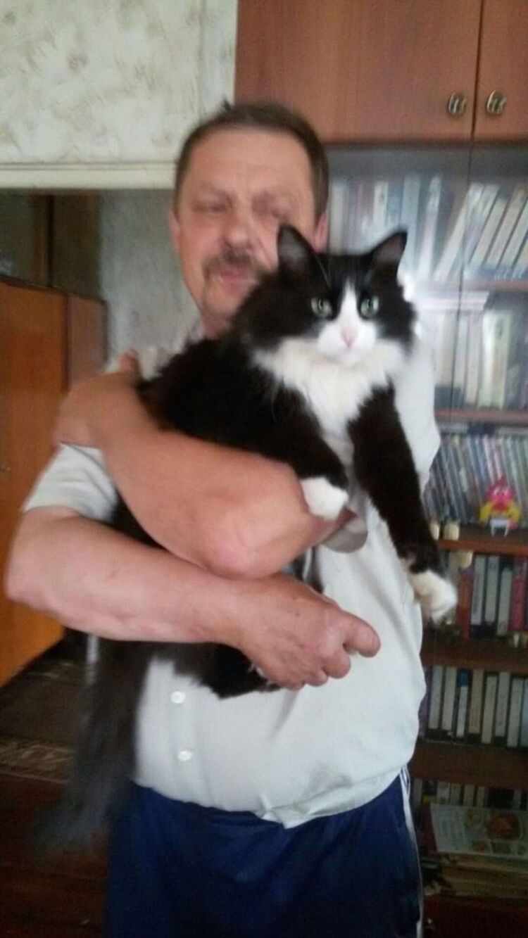 ���������� �����, ���� ������� ����, 66 ���, ������������ ��� ������, ����� � ���������