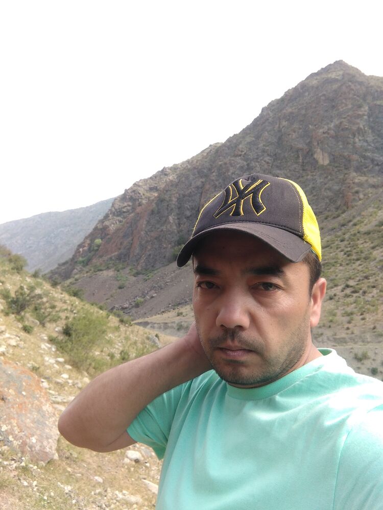  36545781  , 38 ,    