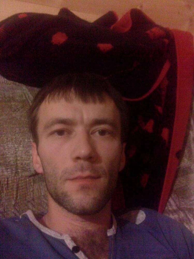 ���� 8000331 ������� �����, 40 ���, ���� ���������� � �����������