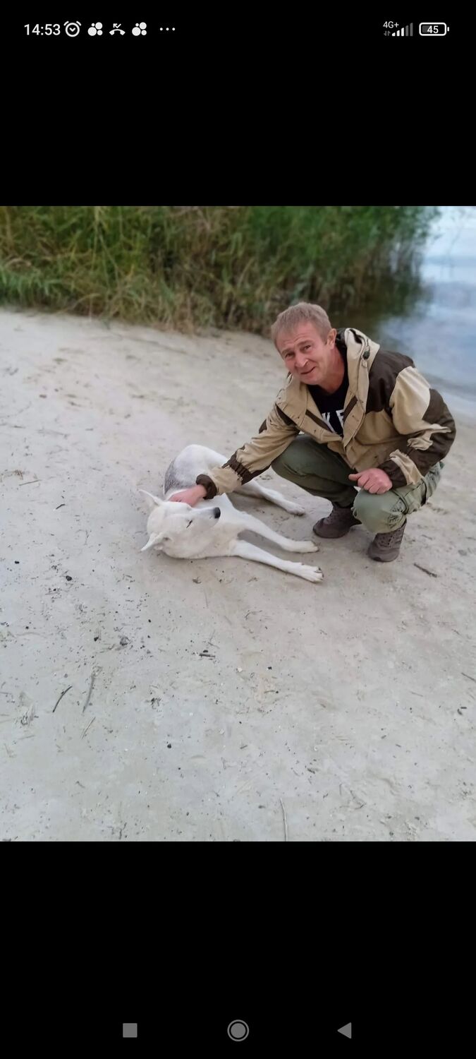 ���� 53287011 ������� ��������, 47 ���, ���� ���������� � �������������